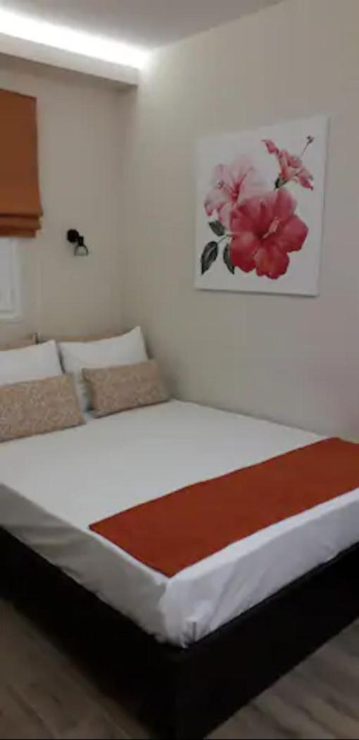 Domenica Apts I Laganas Zimmer foto
