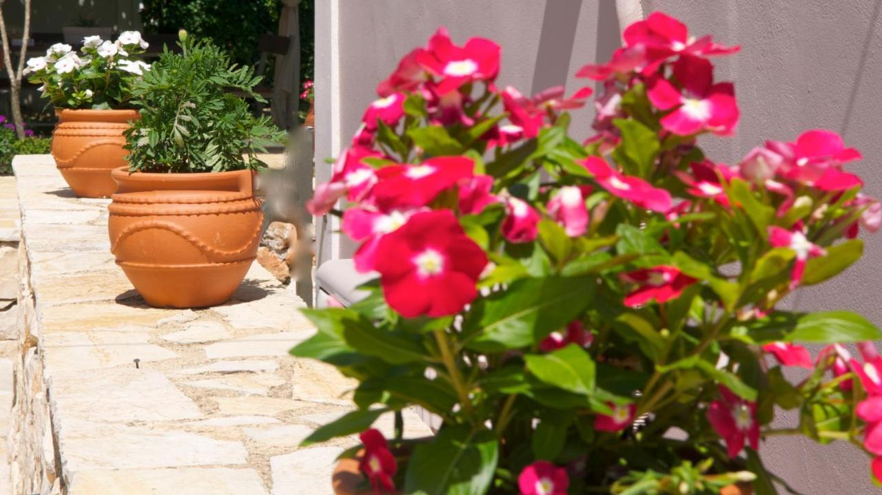 Domenica Apts I Laganas Exterior foto